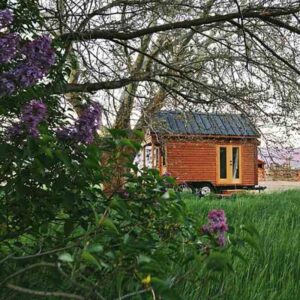 Living the Tiny Home Life: An Interview With Tammy Strobel Image